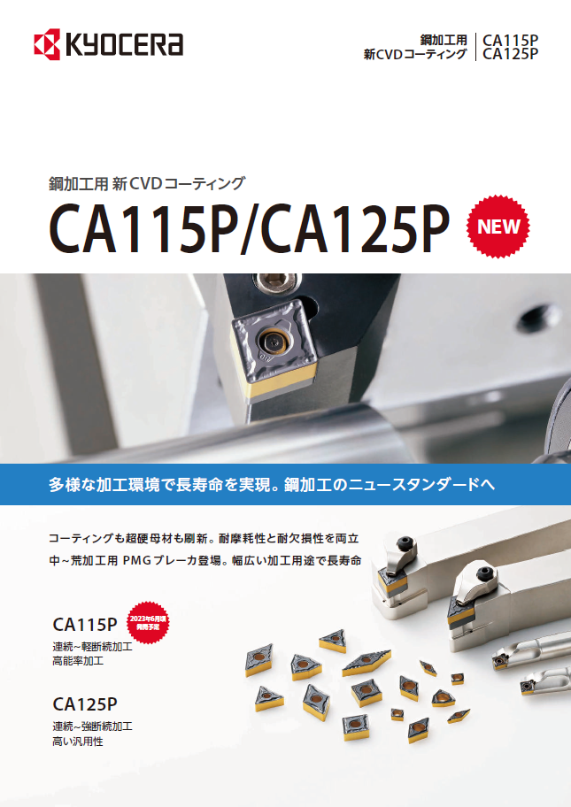 CP487_CA115PCA125P.png