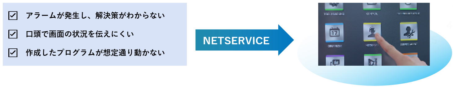 NETSERVICE_Merit.png